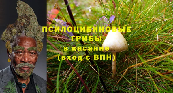 мдма Михайловск