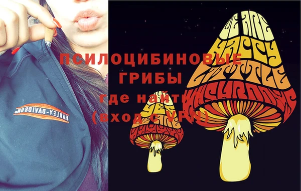 мдма Михайловск